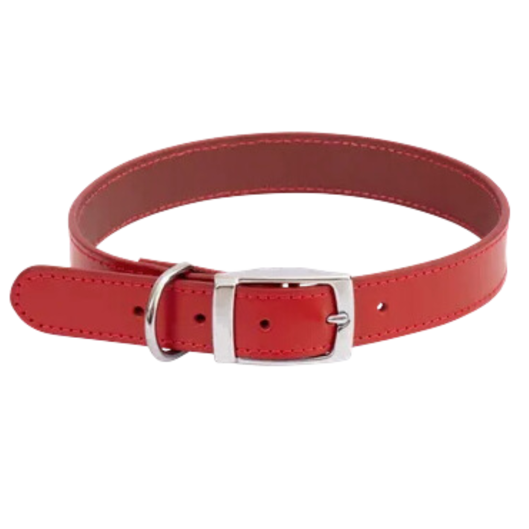 Leather Dog Collar - Red