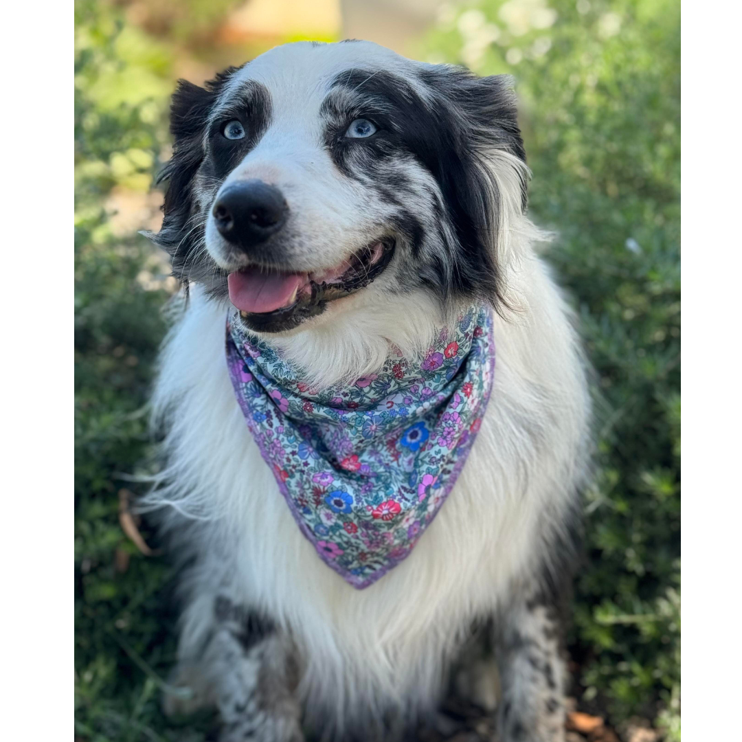 Reversible bandana - Blue Garden/Grape Gingham