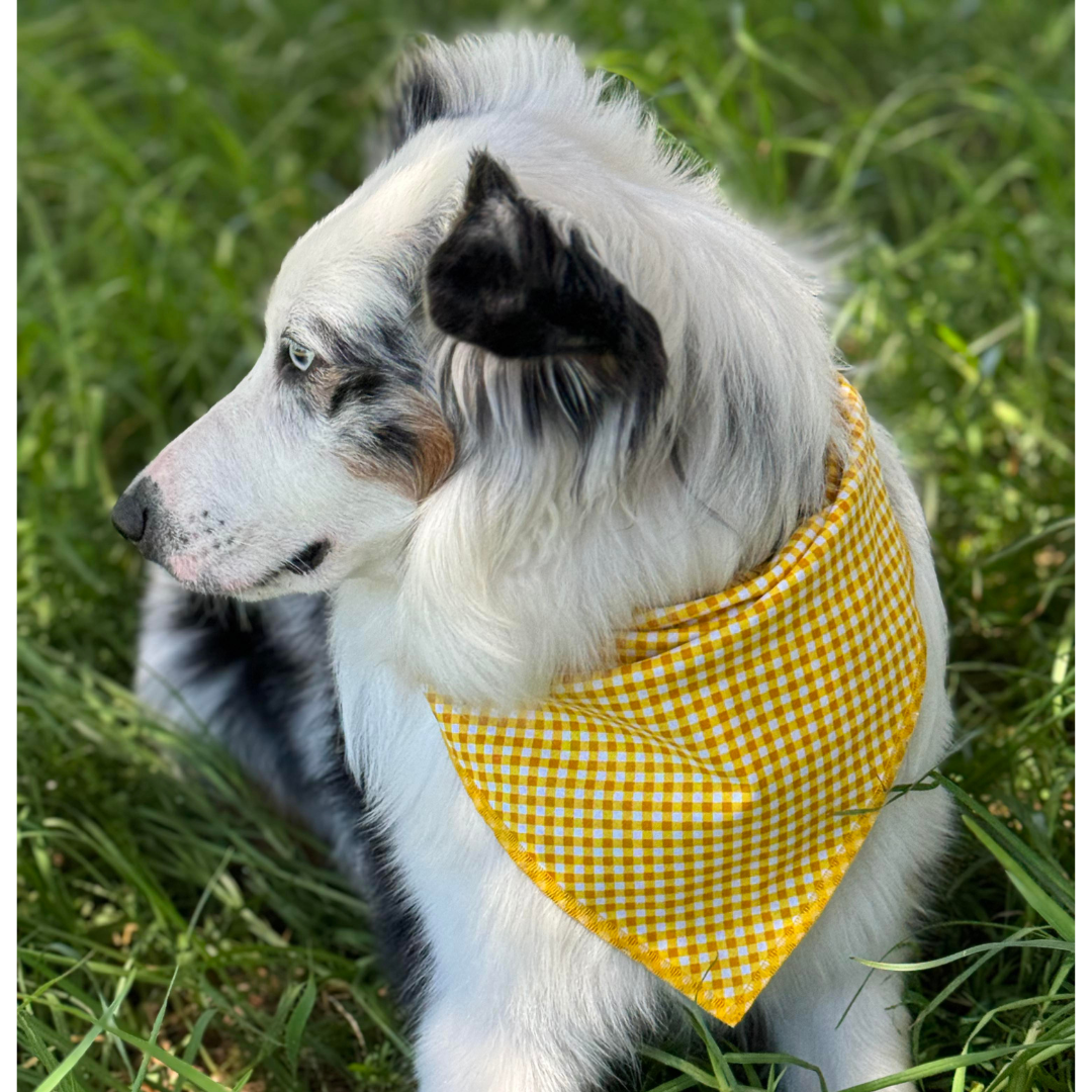 Golden Gingham Bandana
