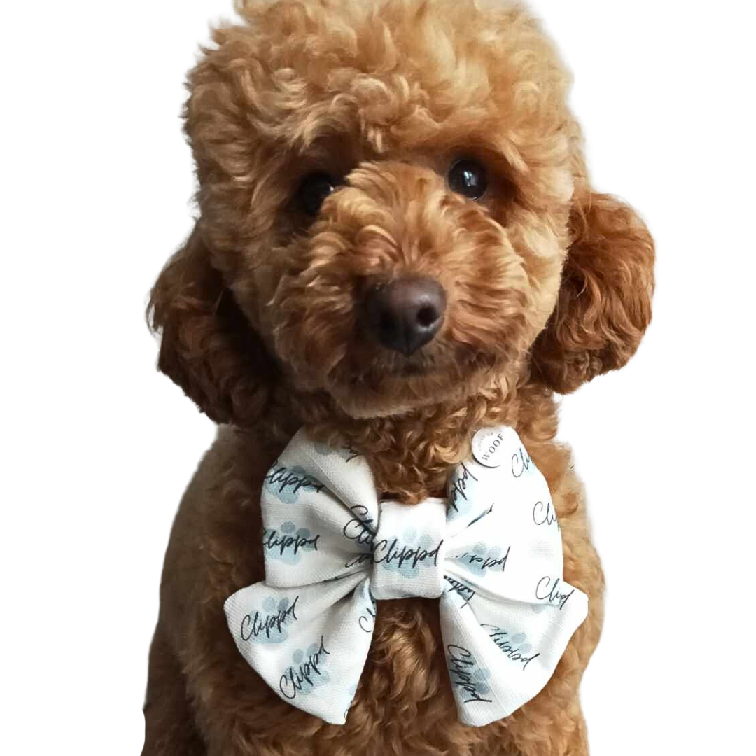 Clippd Bow tie