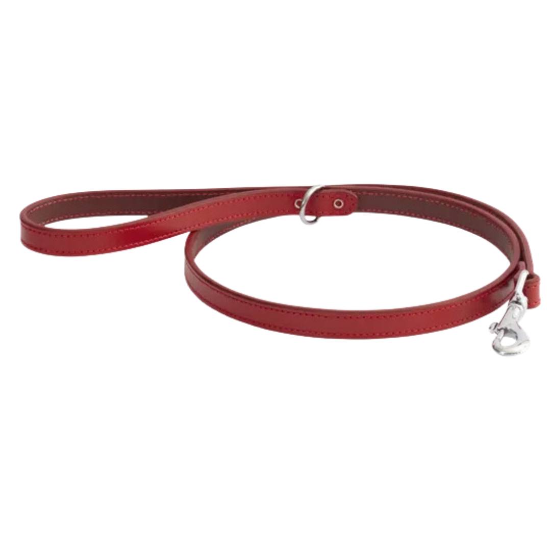 Leather Leads