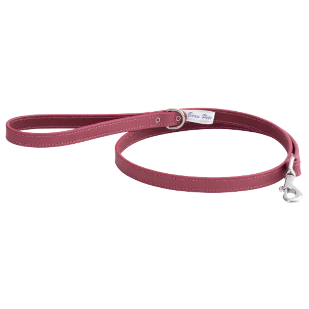 Leather Leads