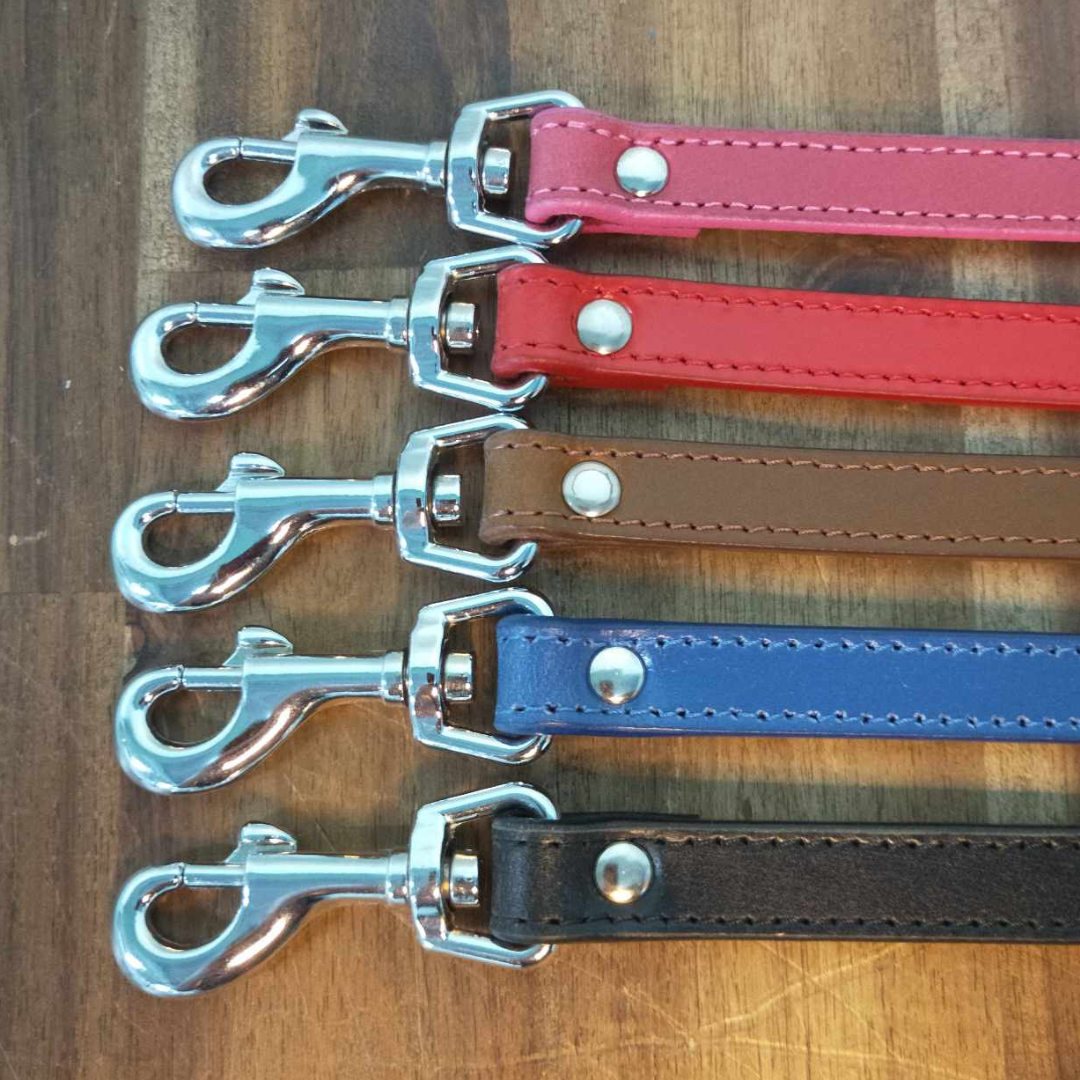 Leather Leads