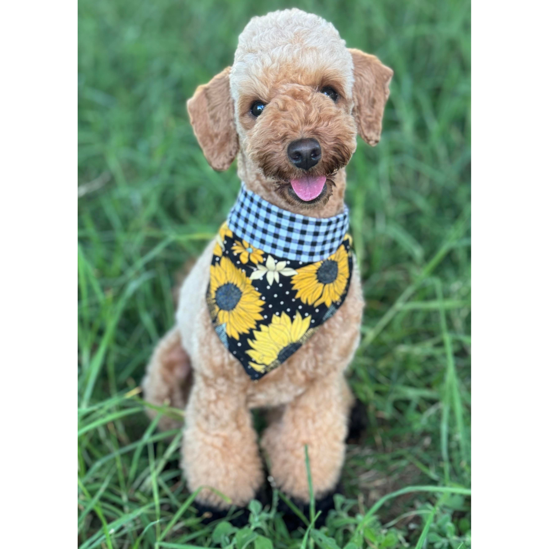 Reversible bandana - Sunflowers/Black Gingham