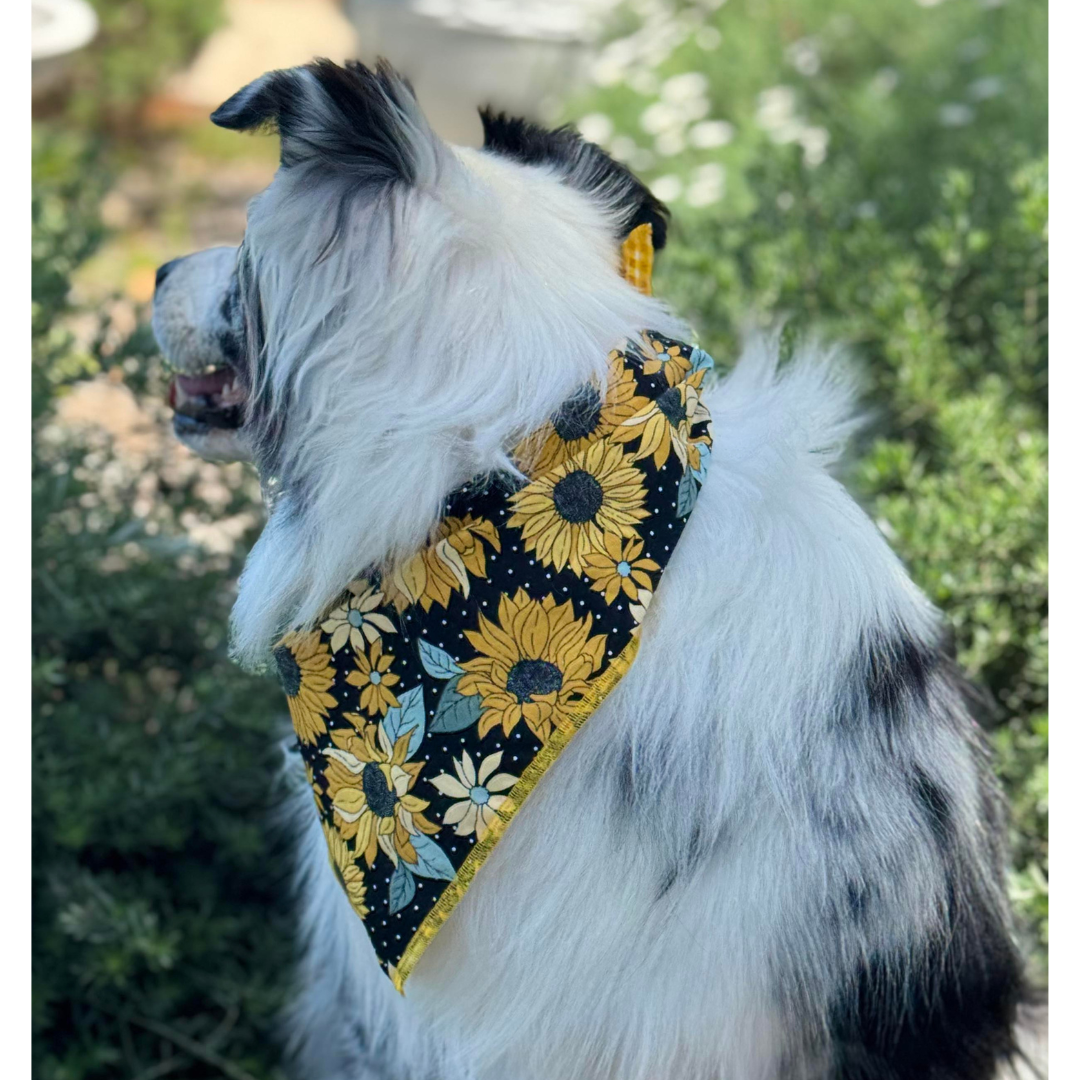 Reversible bandana - Sunflowers/Golden Gingham