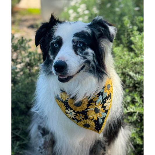 Reversible bandana - Sunflowers/Golden Gingham