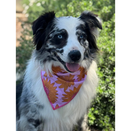 Reversible bandana - Pink Garden/Pink Sunflowers