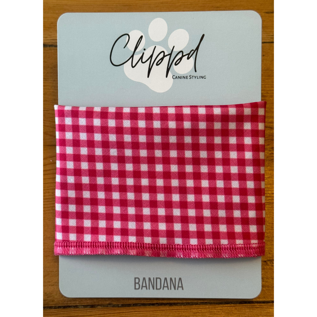 Raspberry Gingham Bandana