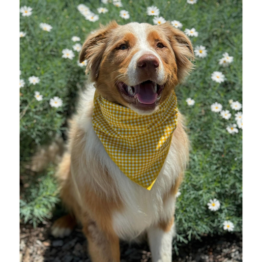 Golden Gingham Bandana