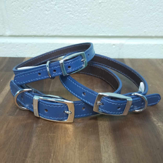 Leather Dog Collar - Blue