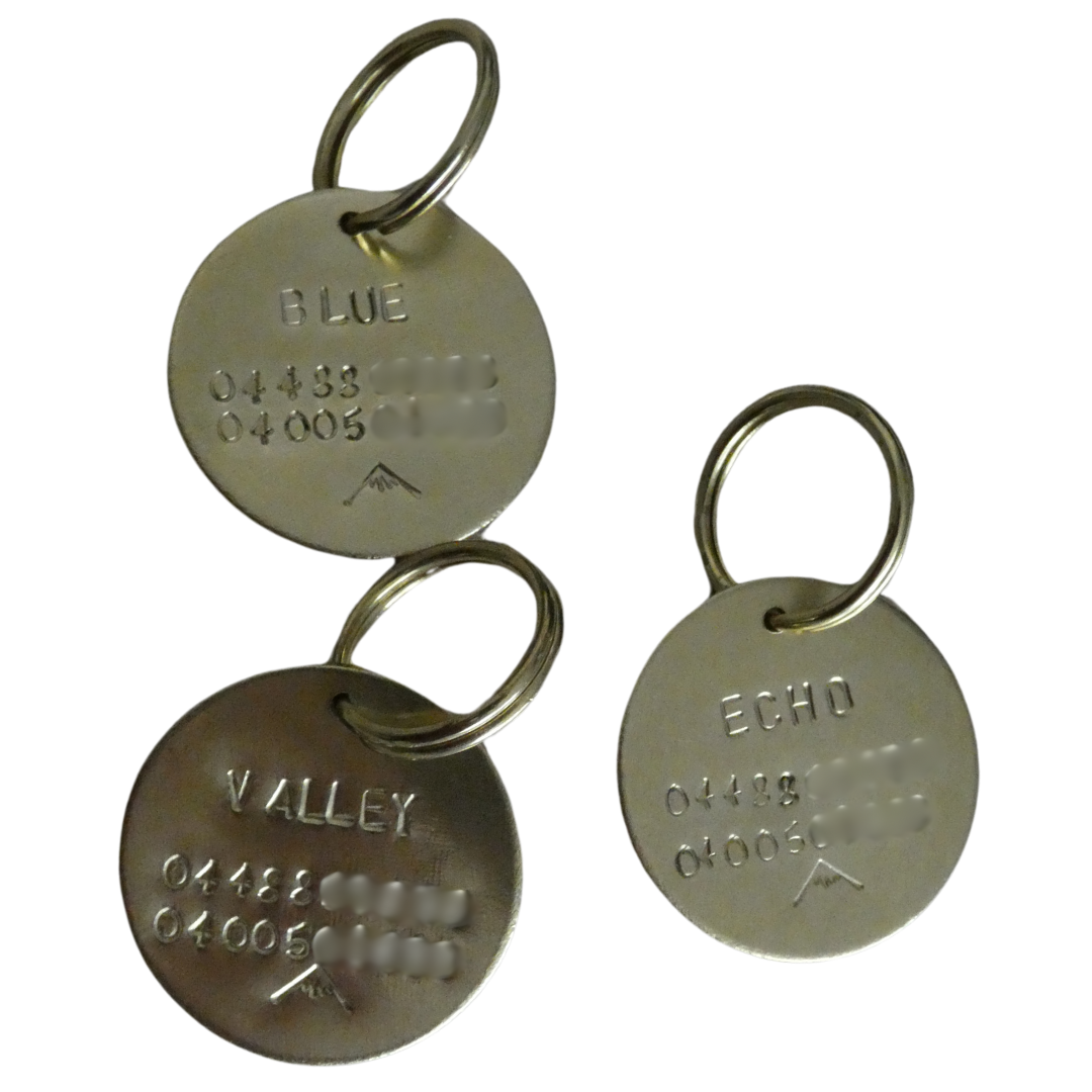 Brass ID Tag - Large