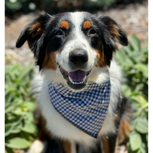 Black Gingham Bandana