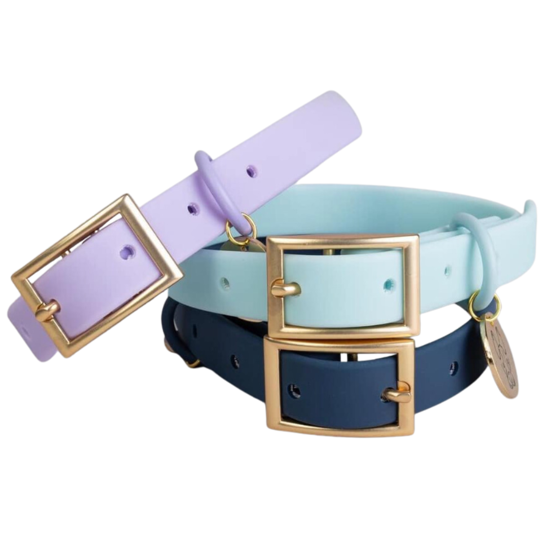 PVC Collar - Sky Blue