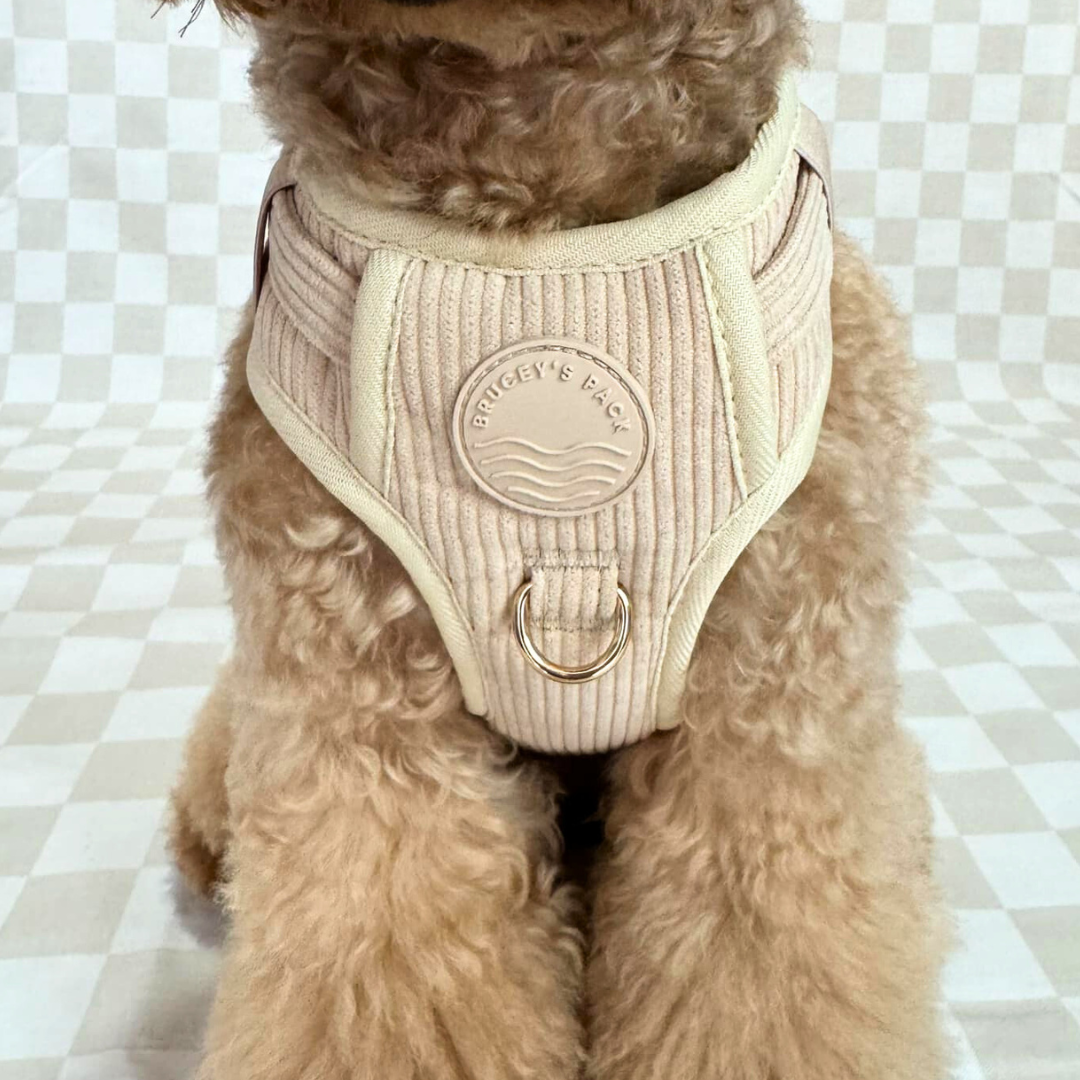 Corduroy Harness - Beige