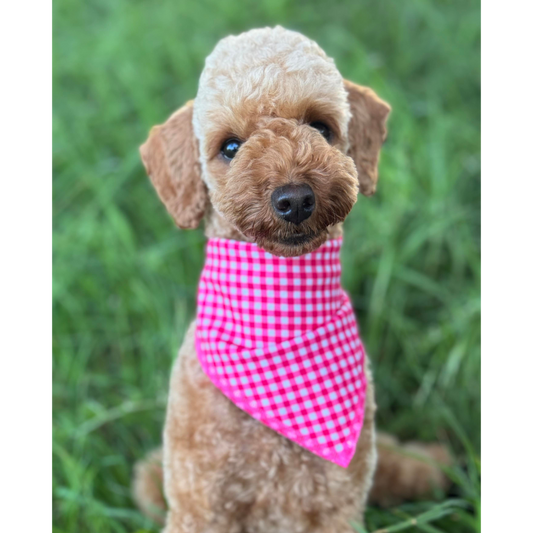 Raspberry Gingham Bandana