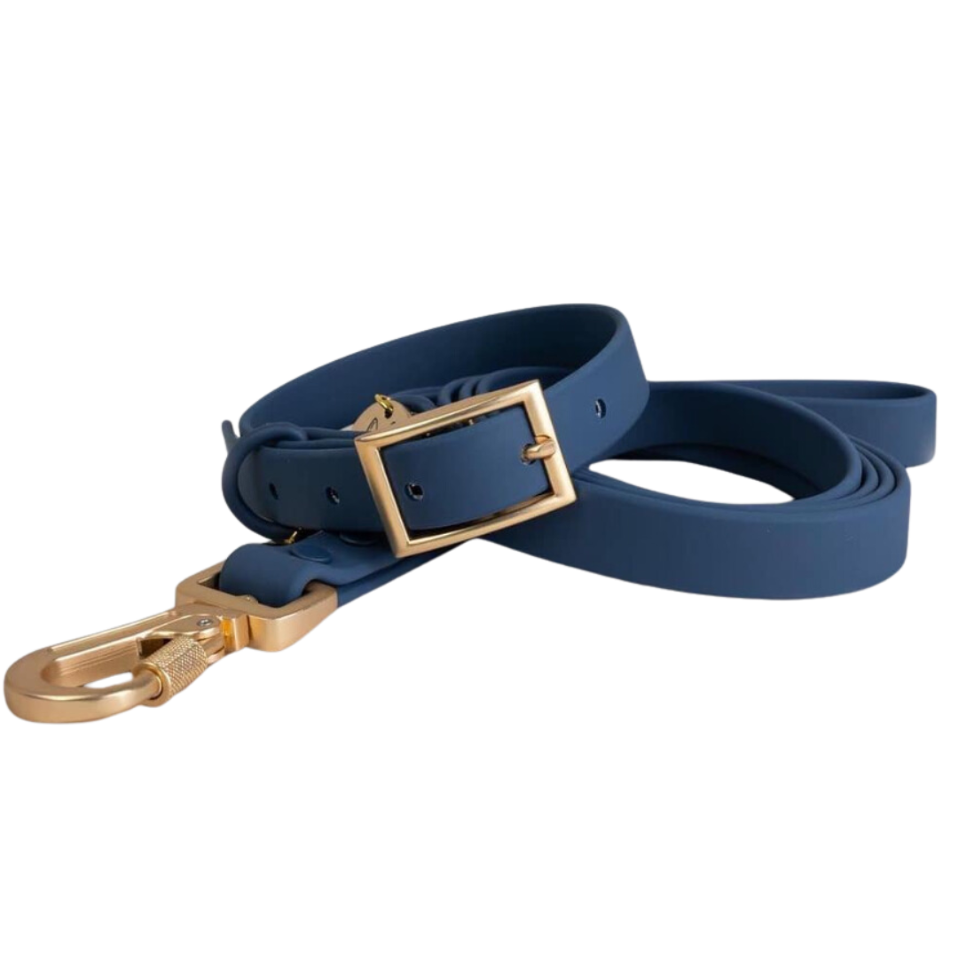 PVC Collar - Midnight Blue