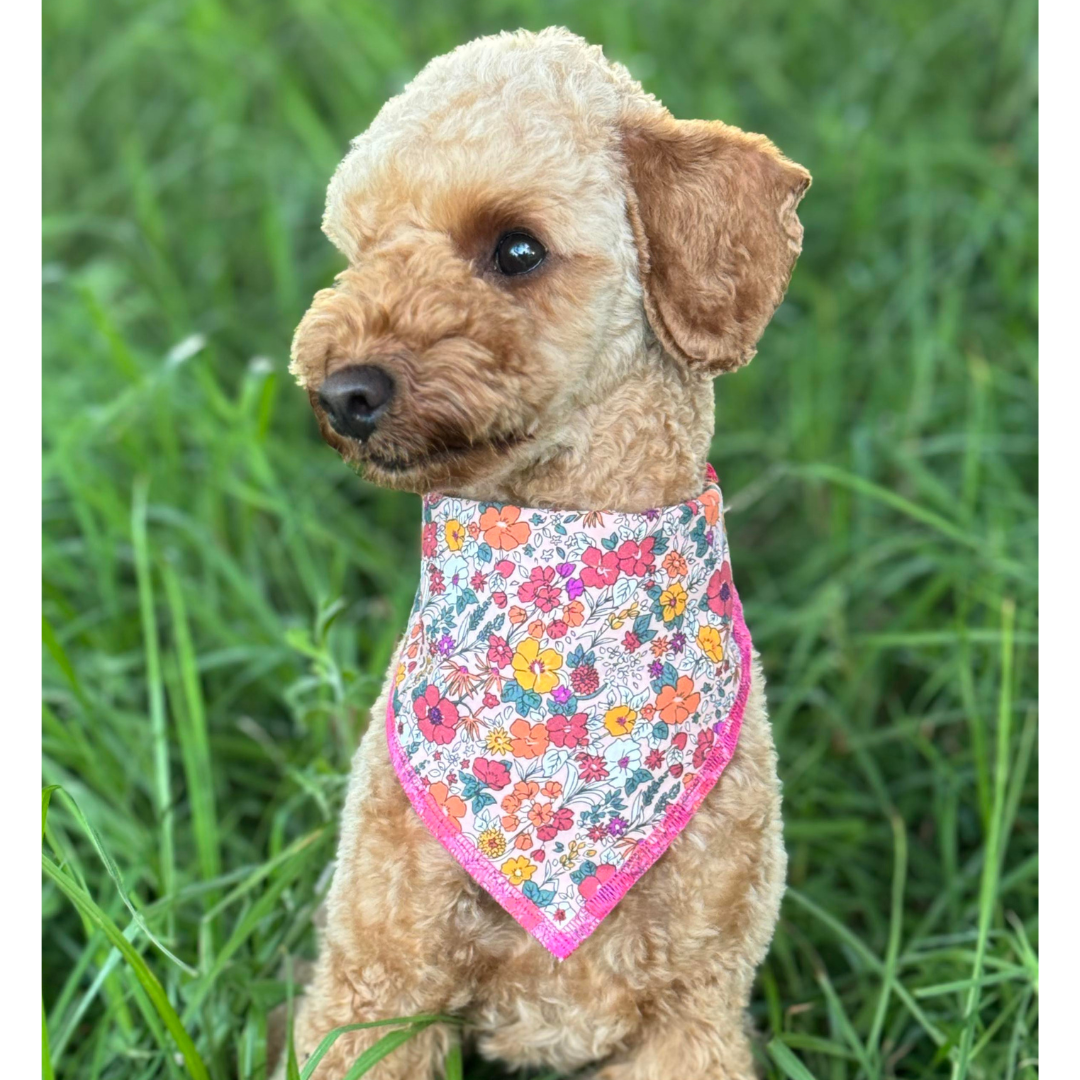 Reversible bandana - Pink Garden/Orange Gingham