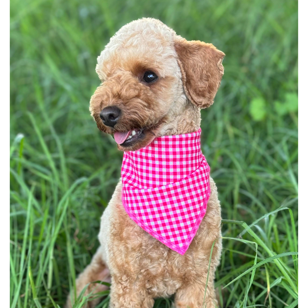 Raspberry Gingham Bandana