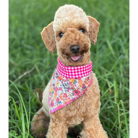 Reversible bandana - Pink Garden/Raspberry Gingham