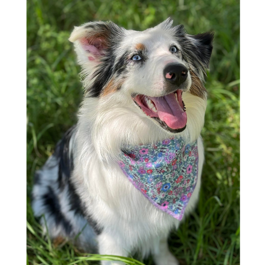 Reversible bandana - Blue Garden/Grape Gingham