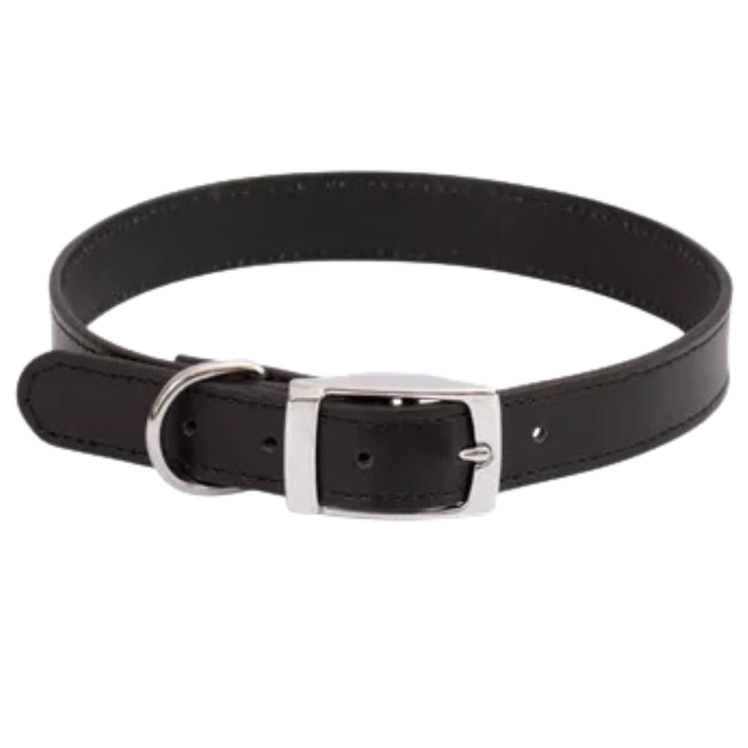 Leather Dog Collar - Black