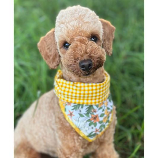 Reversible bandana - Peachy Flowers/Golden Gingham