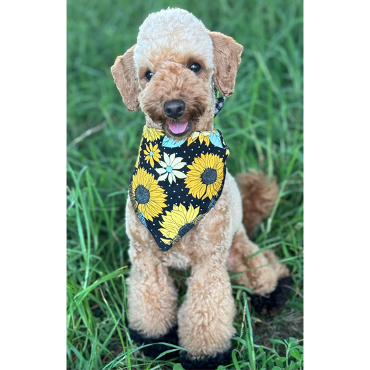 Reversible bandana - Sunflowers/Black Gingham